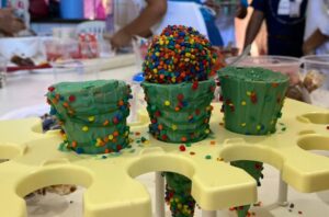 Mulheres do Santa Maria recebem certificação de curso de bombons e trufas 3 Santa